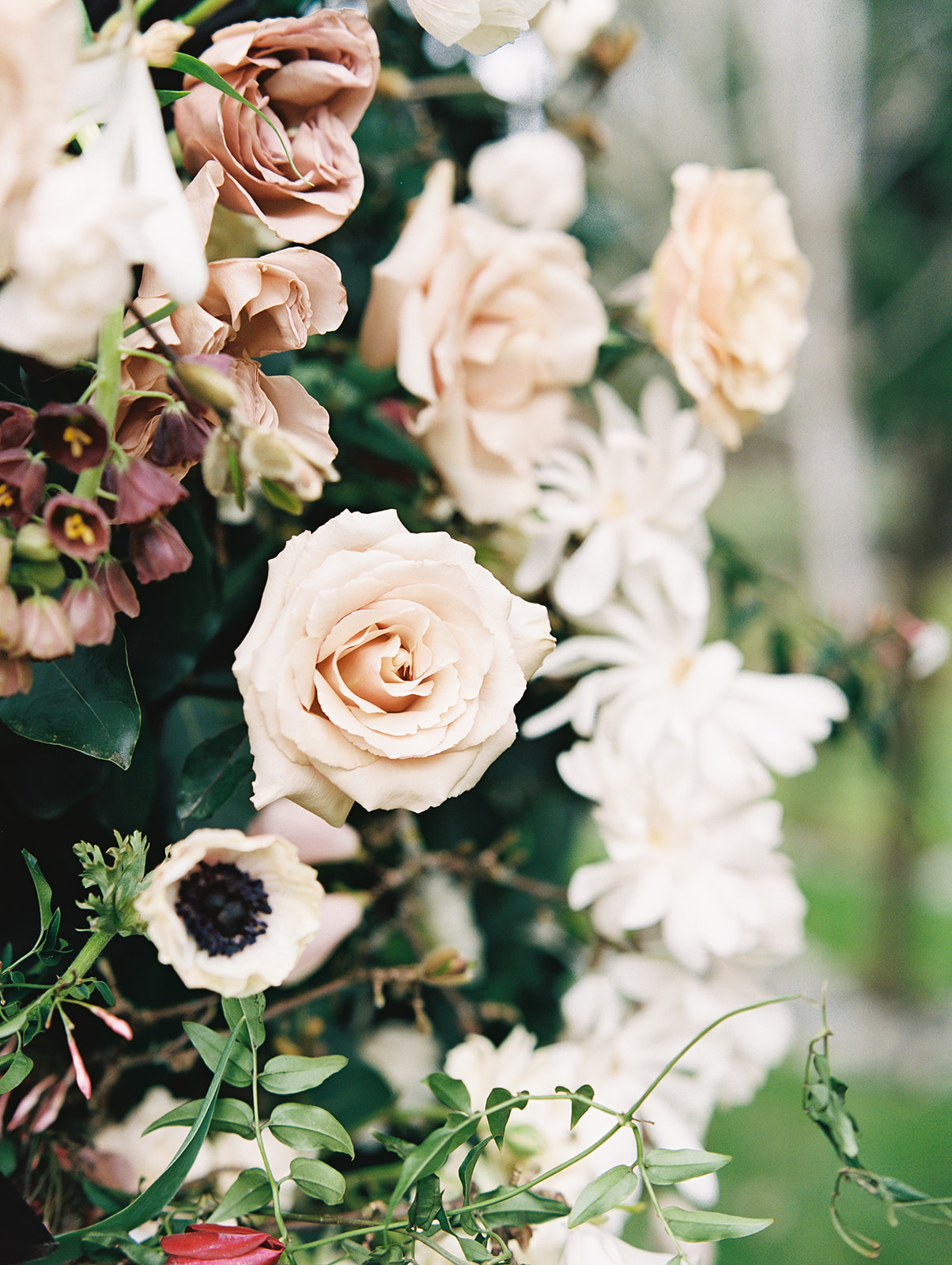 Chateau-Lill-Wedding-Roses-and-Anenomes-Floral-Arch.jpg A close up of roses, anenomes, and other spring blooms used in the floral archway at Chateau Lill