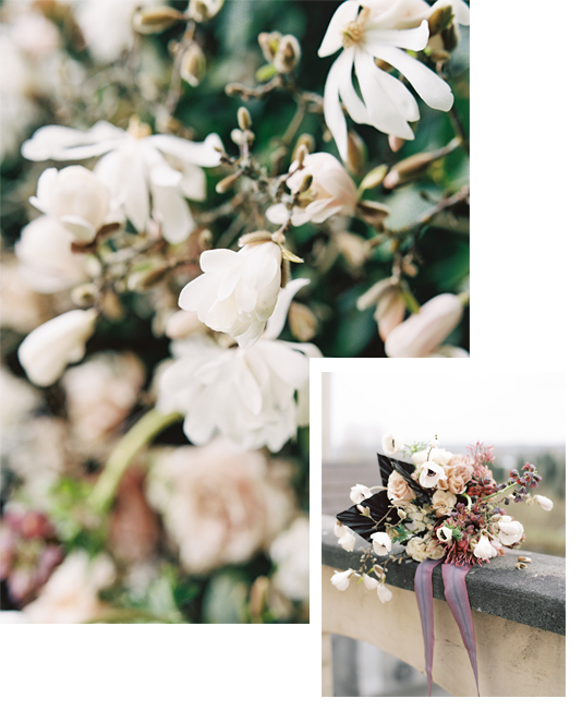 Seattle-Wedding-Florist-Bloom-Poet-Spring-Blooms-About-Page a photo collage of spring blooms with tulip magnolia, anenomes, and more