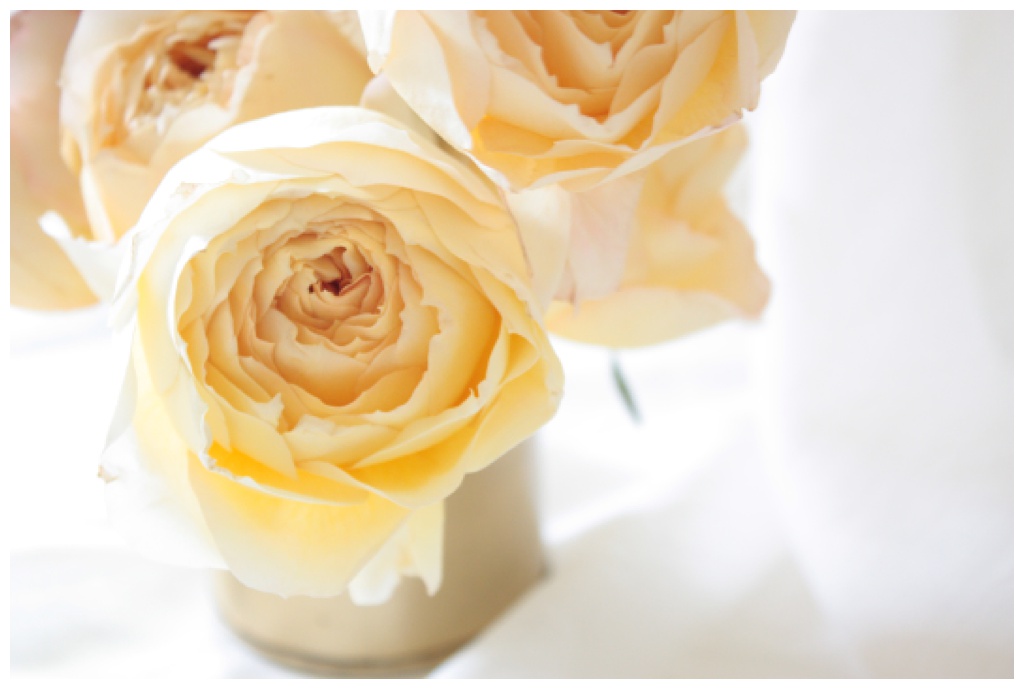 Seattle-Wedding-Florist-Bloom-Poet-Best-May-Wedding-Flowers-Garden-Rose-Caramel Caramel garden roses in a small vase