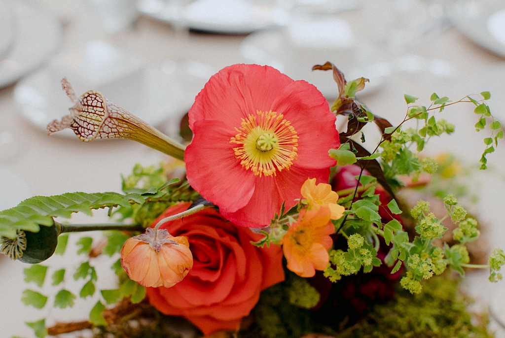 A poppy in a Kiana Lodge wedding centerpiece